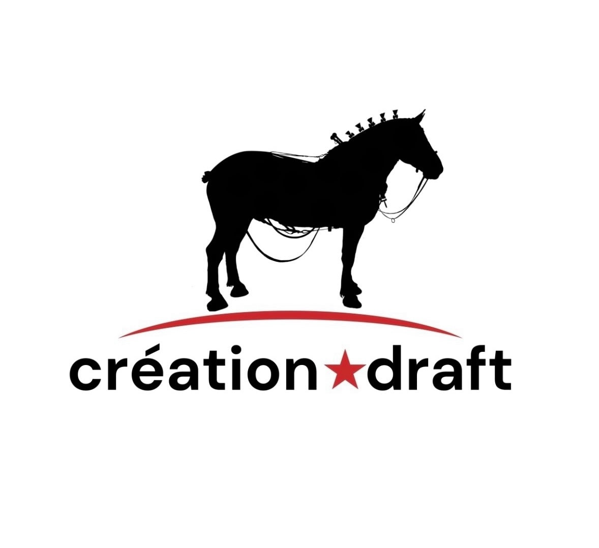 Création Draft
